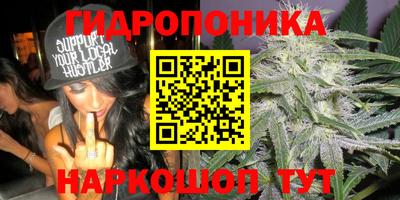 кокс Малгобек