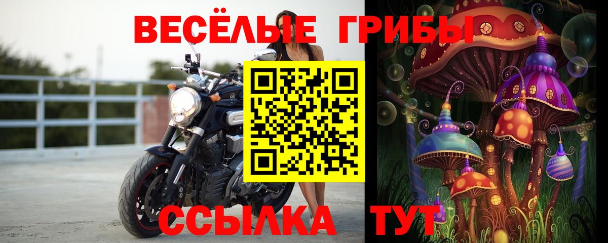 Рязань  купить наркотики сайты  Вход с VPN  Псилоцибиновые грибы мухоморы 